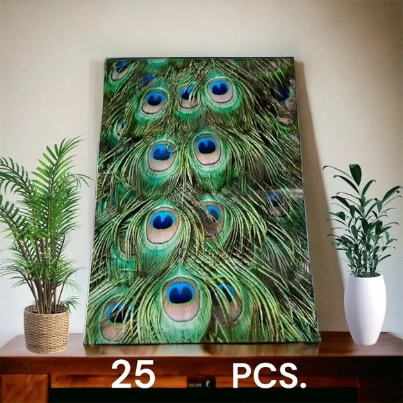 25 10X13 Poly Mailers Peacock Eyes PRICE IS FIRM - Picture 6 of 12